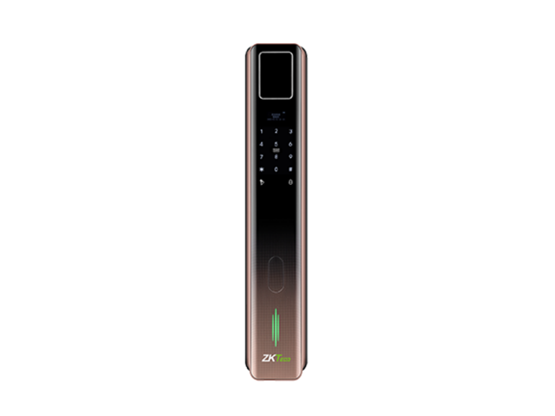 多模态生物识别智能锁ZM301